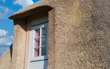 Best Beech Hill thatch roof disadvantages